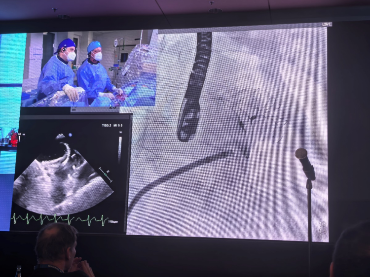 图片 9.png 图片 9.png