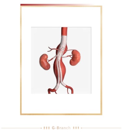 微信截图_20250311113614.jpg 微信截图_20250311113614.jpg