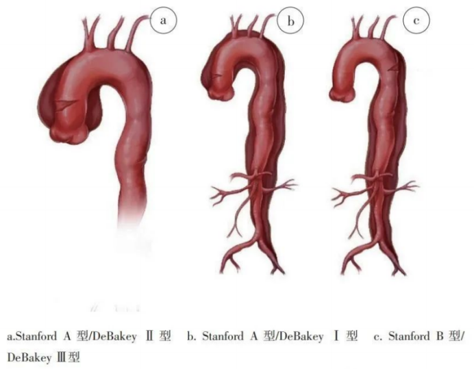 图片 5.png 图片 5.png