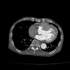 e5edd328-bd56-4f7f-a80d-3e467b144548.gif e5edd328-bd56-4f7f-a80d-3e467b144548.gif