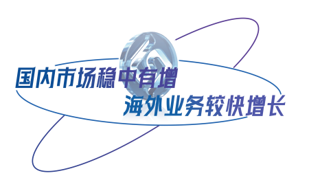 国内市场稳中有增，海外业务较快增长.png